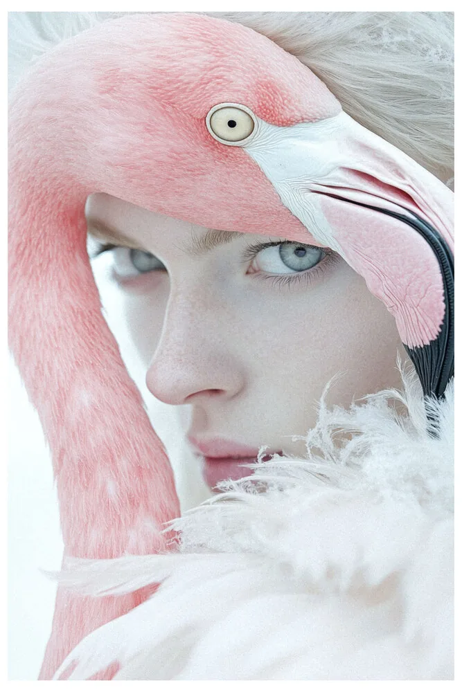 Incognito No.3 - Avian Muse