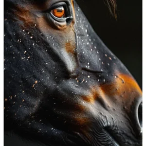 Animal Eye Collection No.16 - Oculus Fervidus