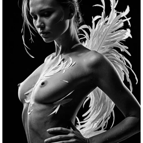 Black Flawless No.20 - Pennae Clarae -