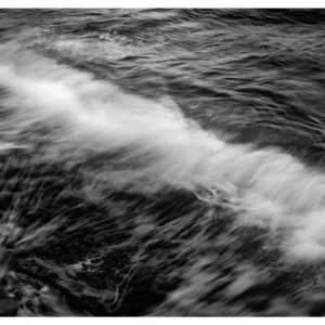 Black Nature No.14 - Unda Incessa