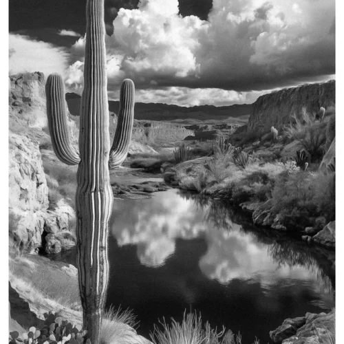 Black Nature No.20 - The Mexican Border Guard