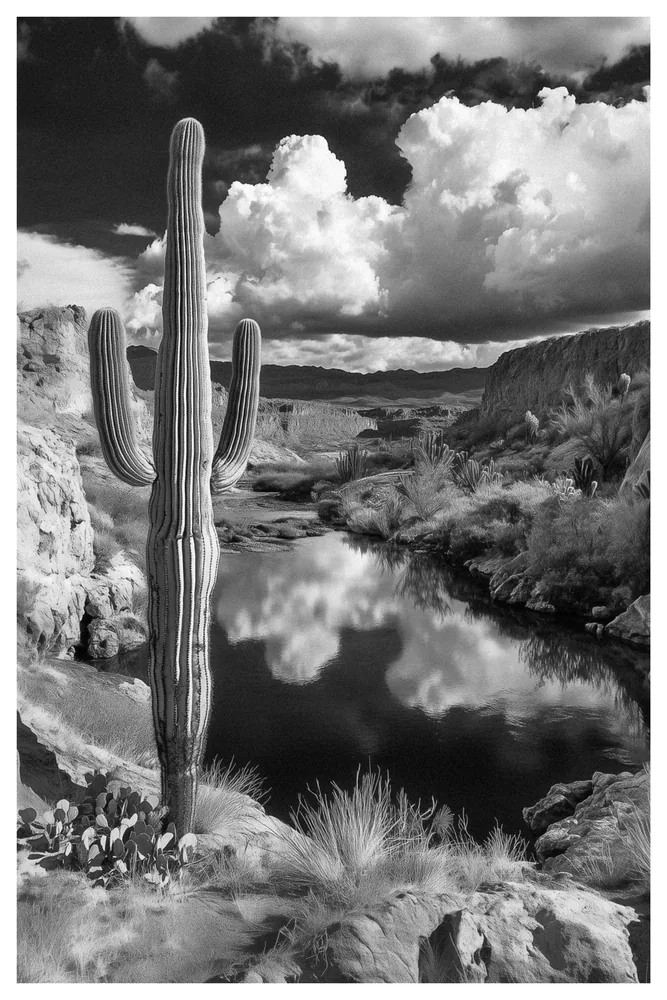 Black Nature No.20 - The Mexican Border Guard