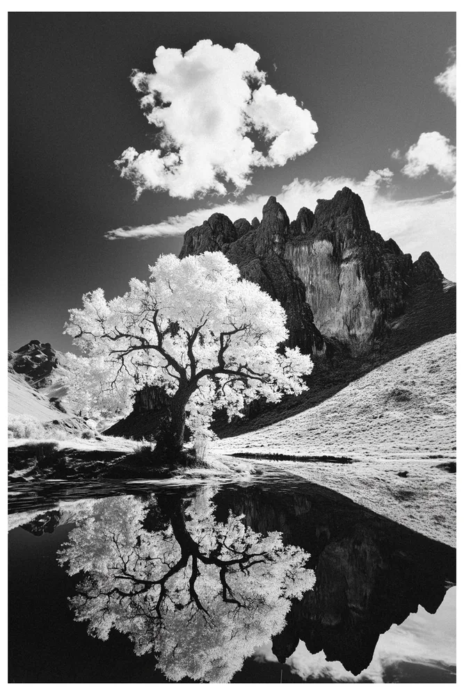 Black Nature No.22 - The White One Black Nature No.22 - The White One