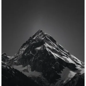 Black Nature No.33 - In Moon Light