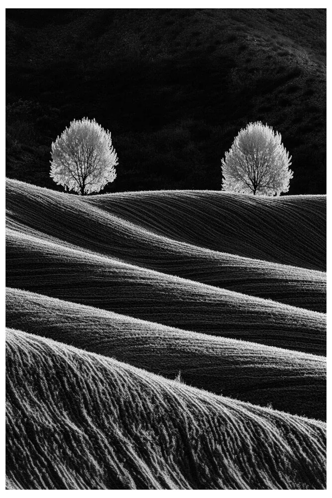 Black Nature No.38 - Black Hills