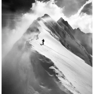 Black Nature No.41 - Against the Storm