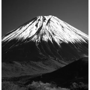 Black Nature No.47 - Winter's Crown