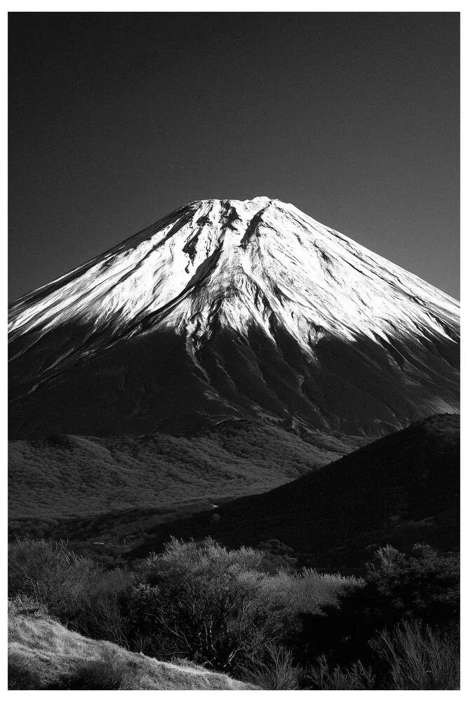 Black Nature No.47 - Winter's Crown Black Nature No.47 - Winter's Crown