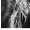 Black Nature No.49 - Breath Of Fury