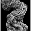 Black Nature No.50 - Twisted Silence