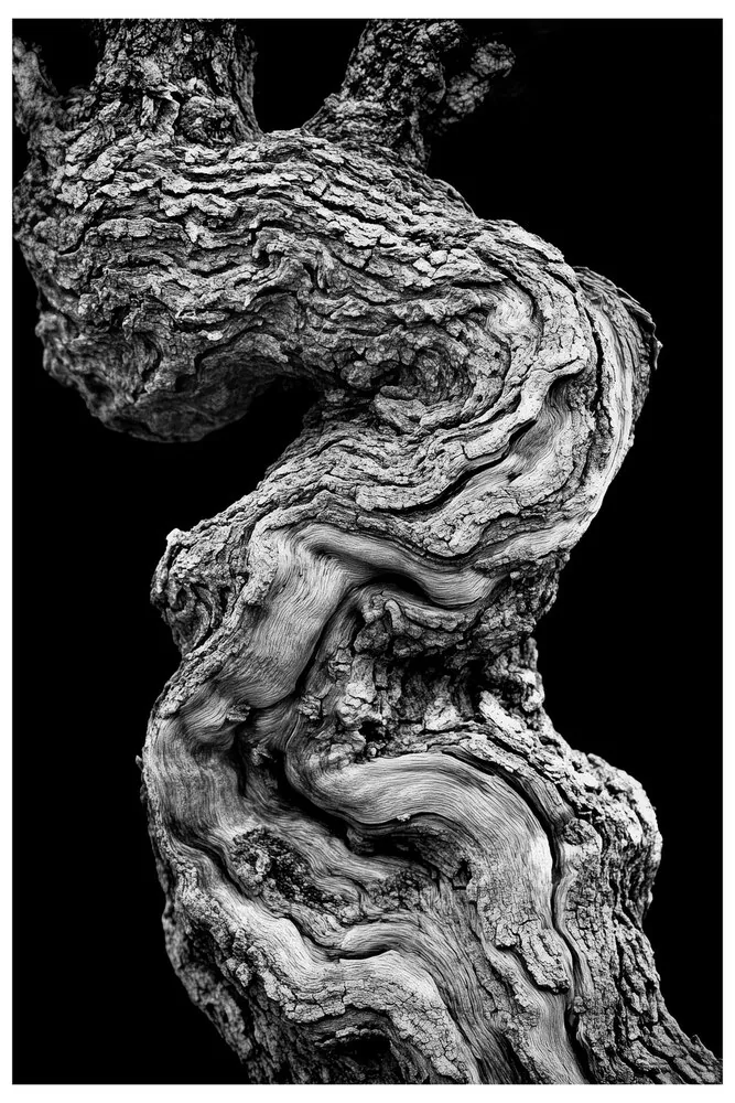 Black Nature No.50 - Twisted Silence