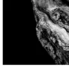 Black Nature No.50 - Twisted Silence