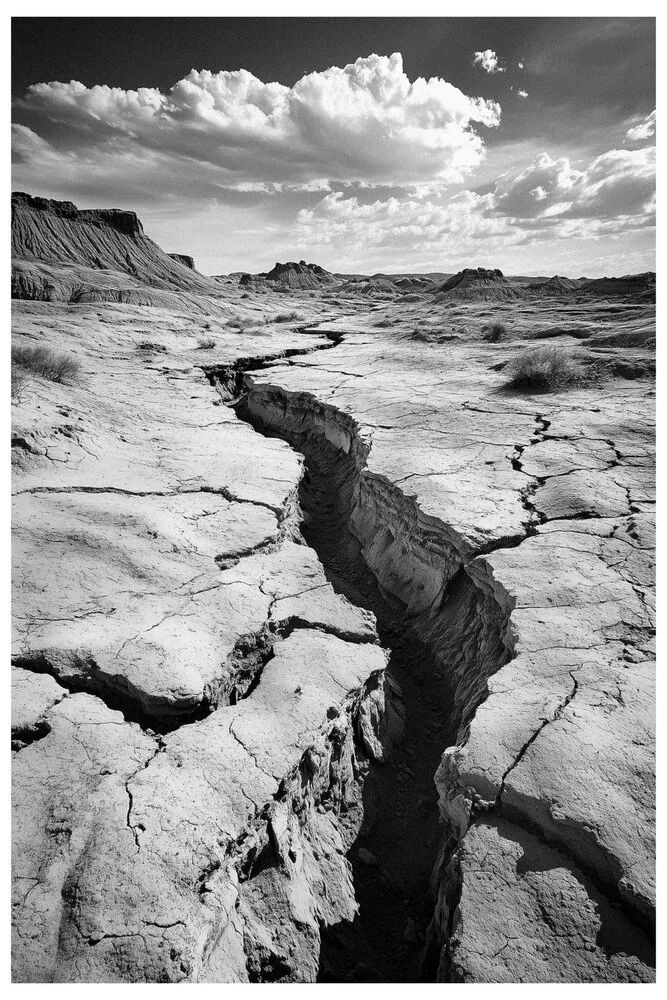 Black Nature No.51 - Veins of Despair