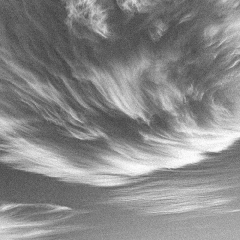 Black Nature No.54 - Dominion of Skies