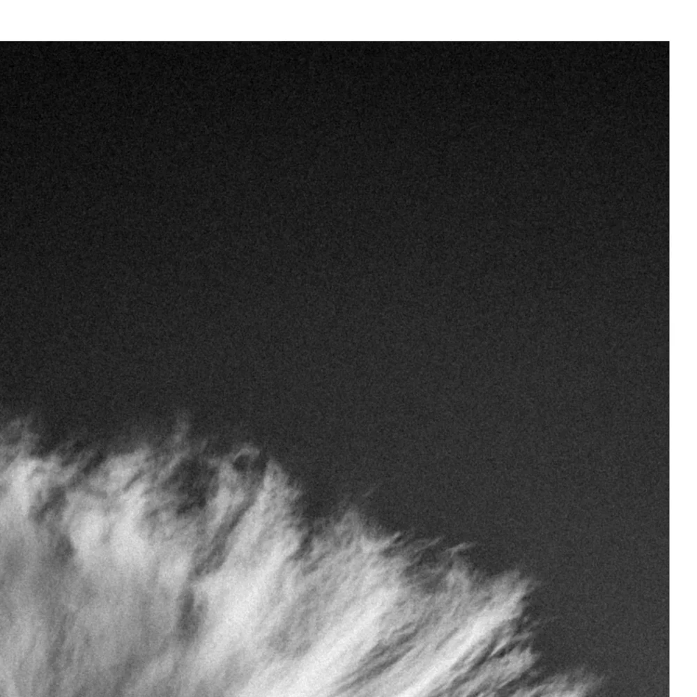 Black Nature No.54 - Dominion of Skies