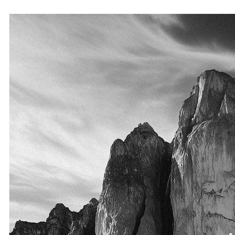 Black Nature No.55 - Tranquil Embrace