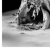 Black Nature No.58 - Wraiths in Sand