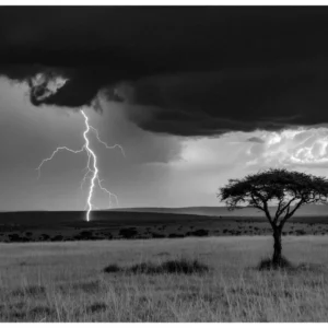 Black Nature No.59 - Heavy Storm Silence