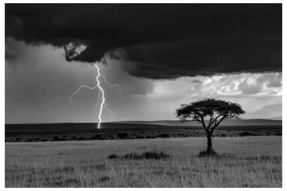 Black Nature No.59 - Heavy Storm Silence Black Nature No.59 - Heavy Storm Silence
