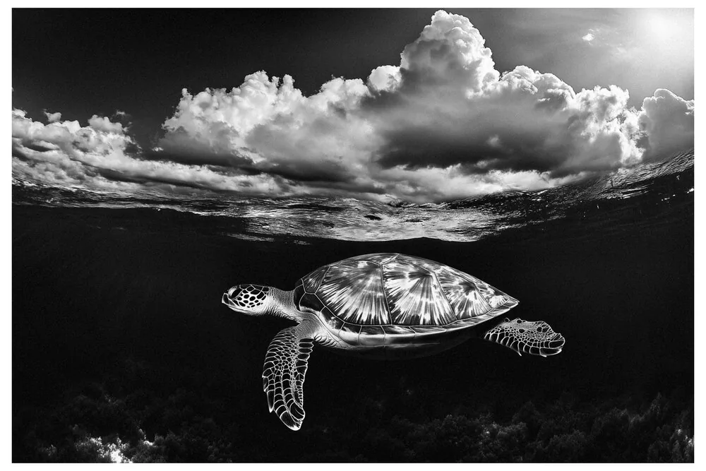 Black Nature No.66 - Silent Odyssey