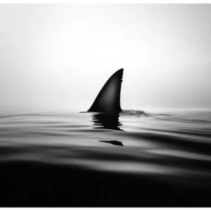 Black Nature No.71 - Blade of Fear