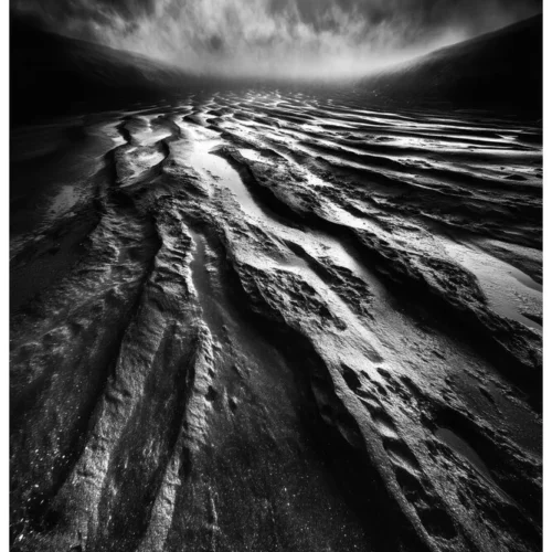 Black Nature No.75 - Via Sine Vestigio