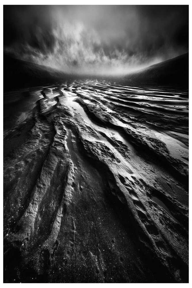 Black Nature No.75 - Via Sine Vestigio