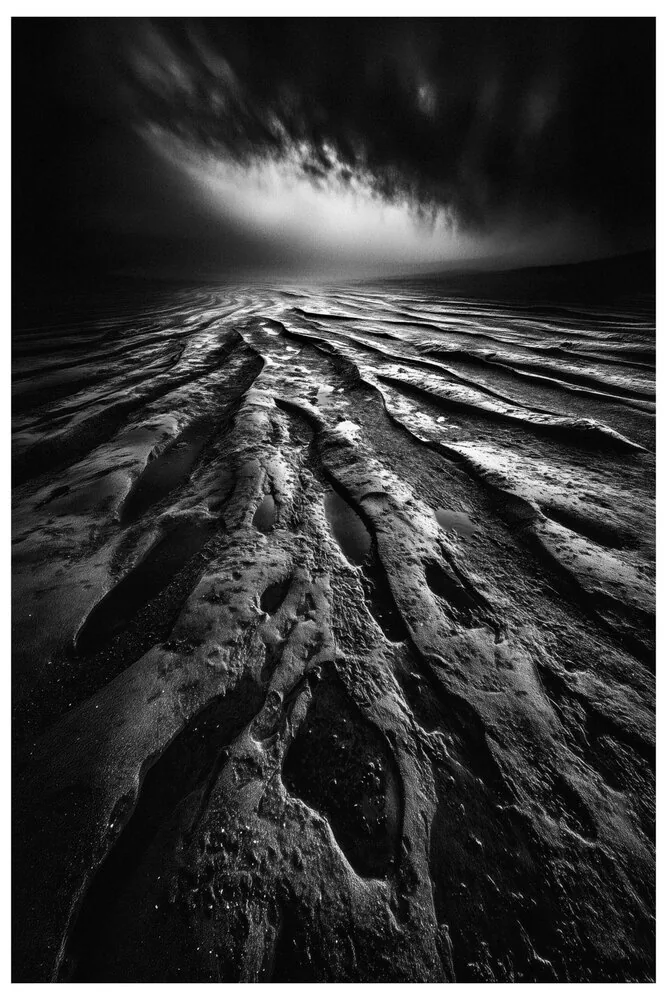 Black Nature No.79 - Primordial Land