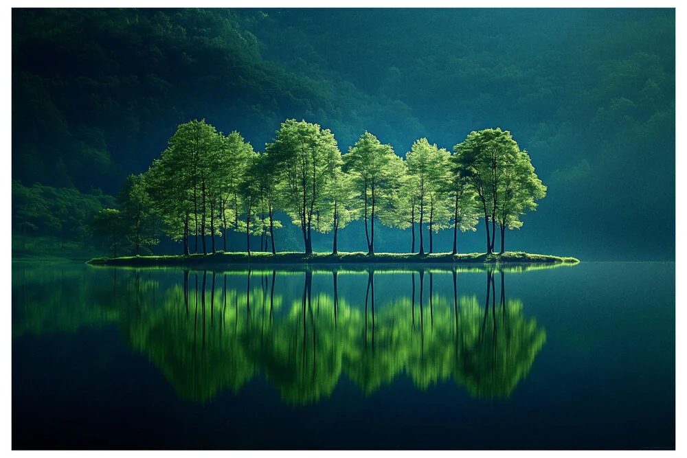 Black Nature No.83 - Nature Paused