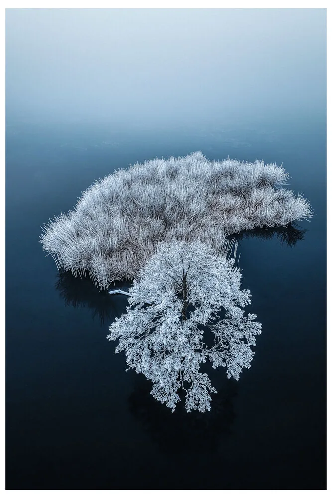 Black Nature No.85 - Frozen Verse
