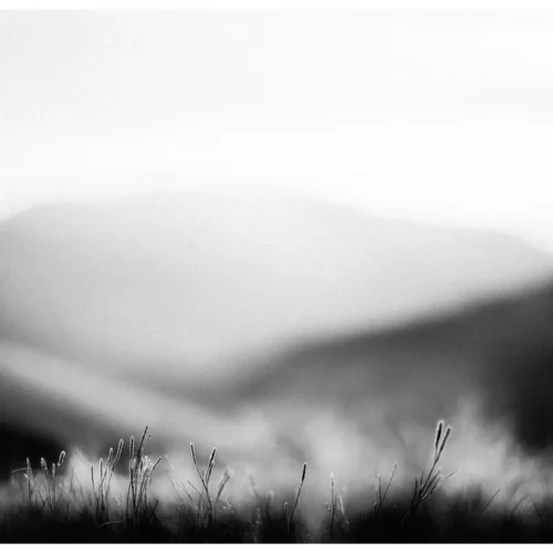 Black Nature No.87 - Limen Quietis