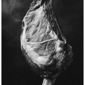 Food Fair No.8 - Memento Caro