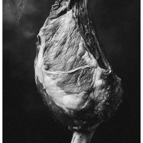 Food Fair No.8 - Memento Caro