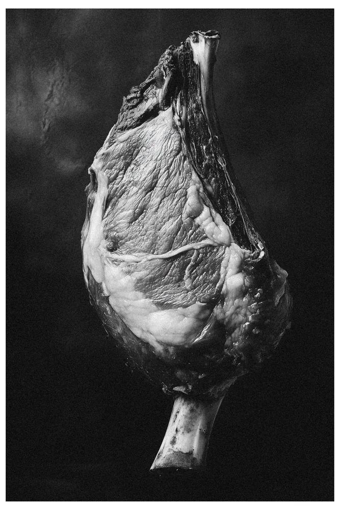 Food Fair No.8 - Memento Caro