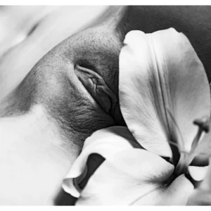 Incognito No.40 - Vallis Primordia