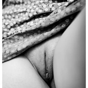 Incognito No.42 - Velamen Florum