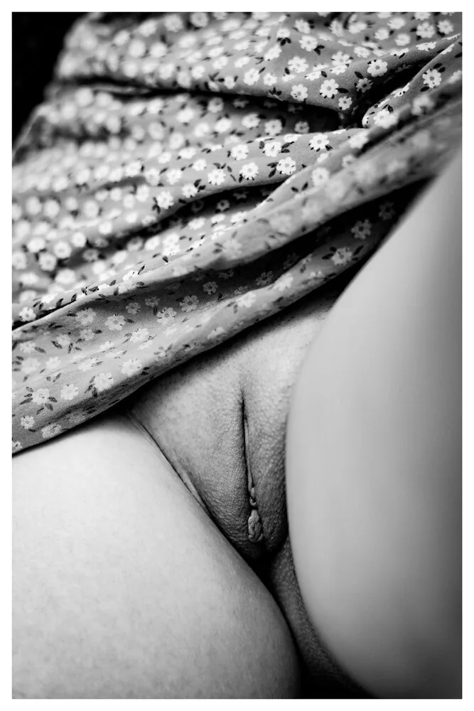 Incognito No.42 - Velamen Florum