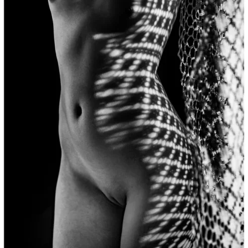 Nude Shade No.34 - Reticulum Obscura