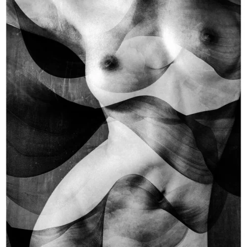 Nude Shade No.45 - Rhythmus Formae