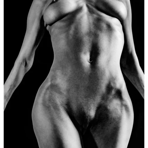 Nude Shade No.49 - Venus Graphita