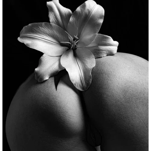 Nude Shade No.75 - Mon Trésor