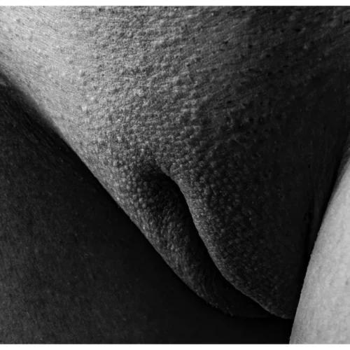 Nude Shade No.96 - Sculpted in Shadow