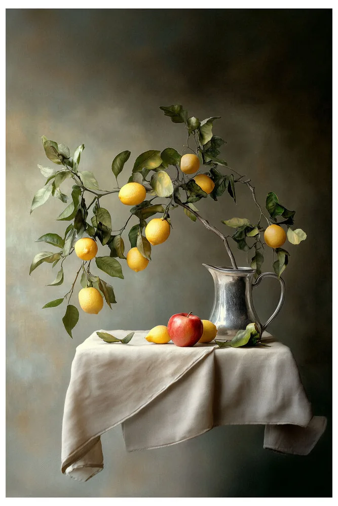 Quiet Flowers No.04 - Citrus and Shadows