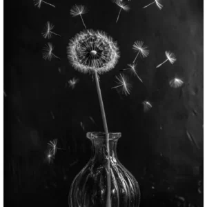 Quiet Flowers No.05 - Echoes in Air