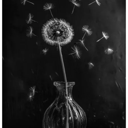 Quiet Flowers No.05 - Echoes in Air