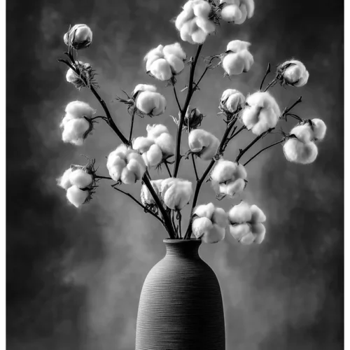 Quiet Flowers No.10 - Mollitia in Umbra