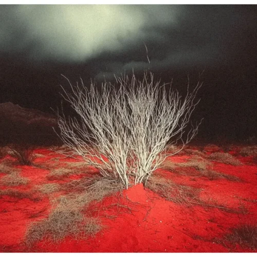 Vibrant Colors No.06 - Whispered Storm