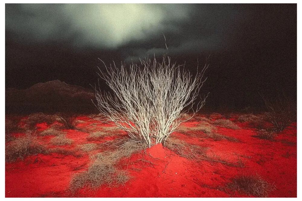 Vibrant Colors No.06 - Whispered Storm