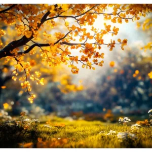 Vibrant Colors No.07 - Golden Stillness