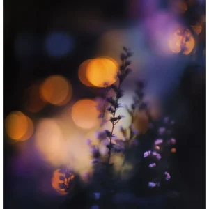 Vibrant Colors No.11 - Twilight Violet